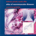 Atlas of neuromuscular diseases - a practical guideline